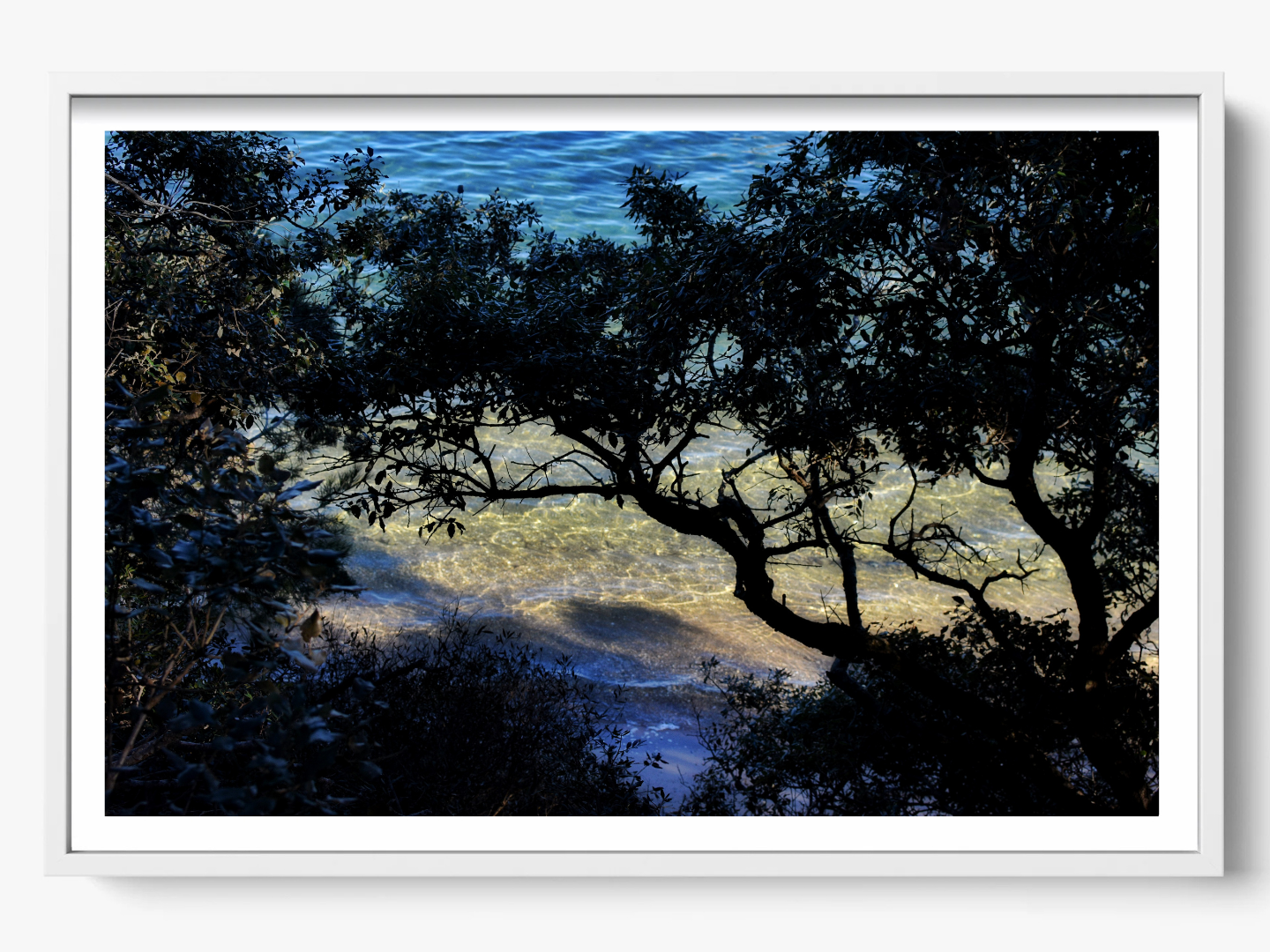 Shoreline Whispers