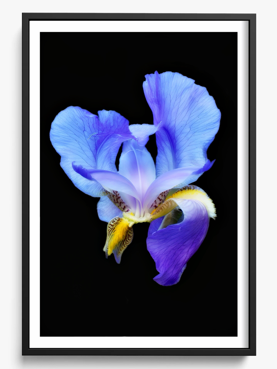 Midnight Bloom