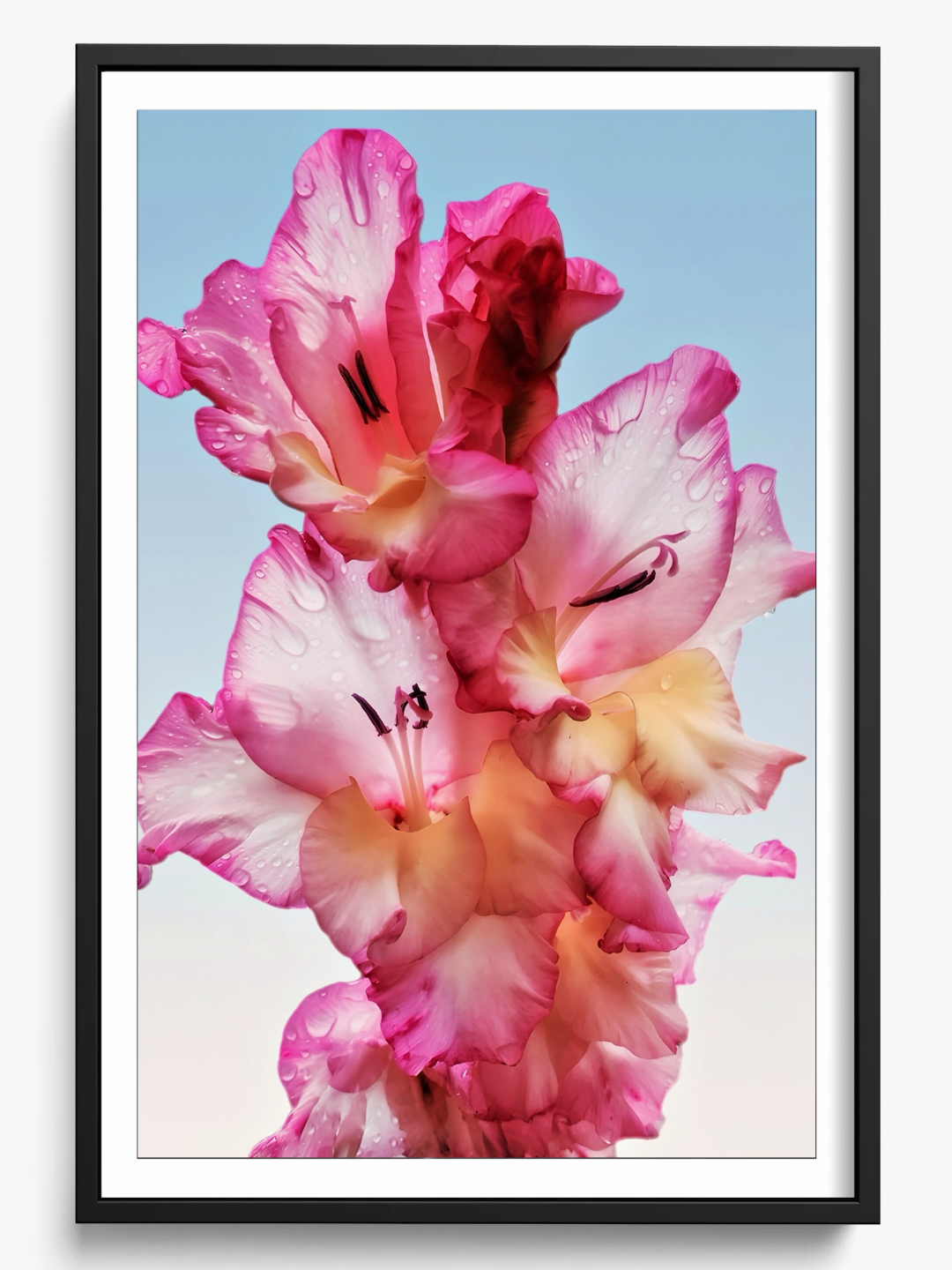 Floral Dew