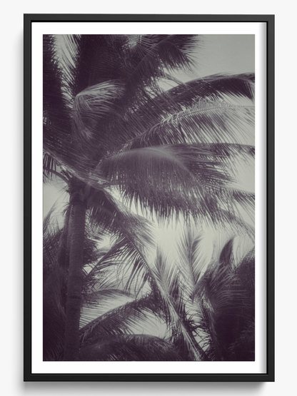 Tropical breath