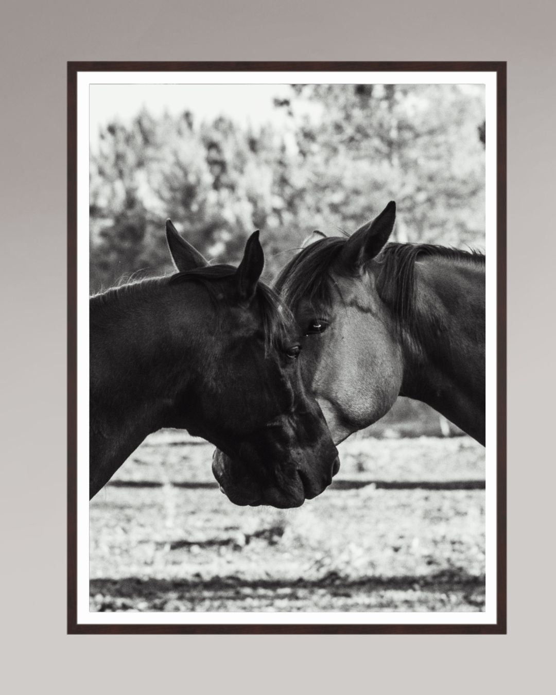 Horses' Complicity