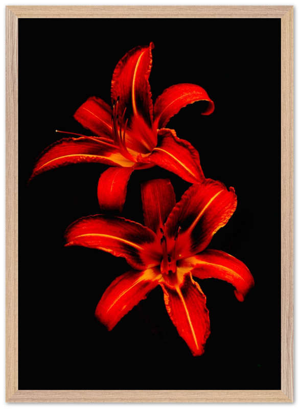 Red Lilies - Bandanas SimpleMax