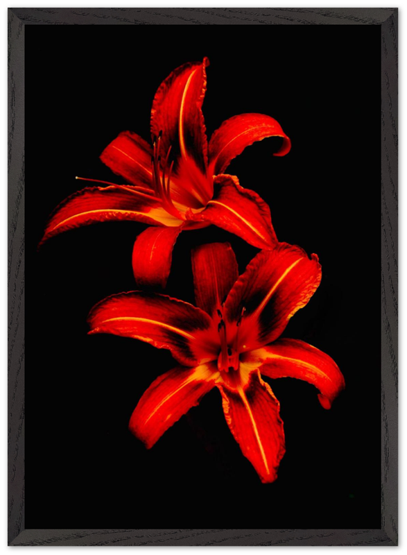 Red Lilies - Bandanas SimpleMax