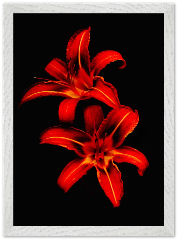 Red Lilies - Bandanas SimpleMax