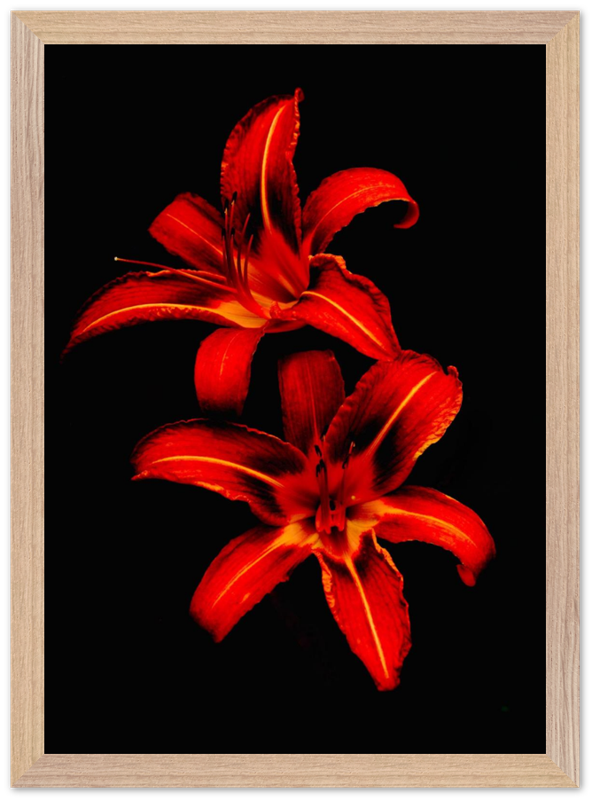 Red Lilies - Bandanas SimpleMax