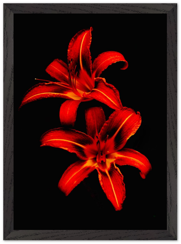 Red Lilies - Bandanas SimpleMax