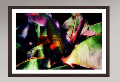 Chromatic Jungle