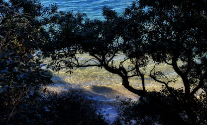 Shoreline Whispers