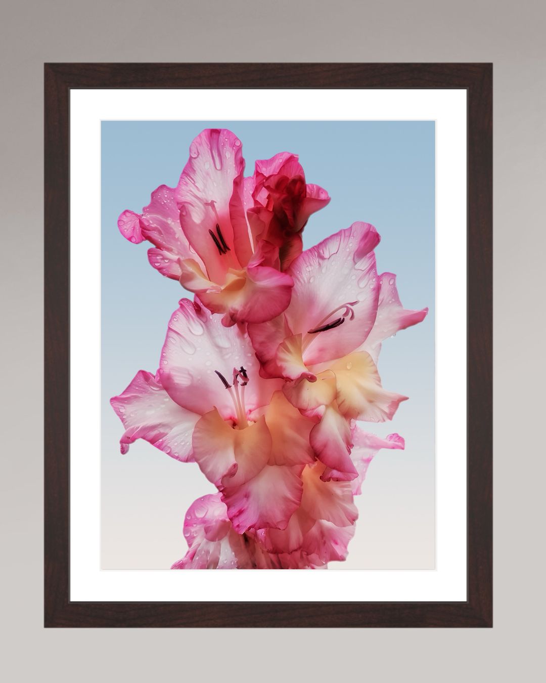 Photographie fine art encadrée Floral Dew, format 20×30 cm, fleur rose avec gouttes d’eau.