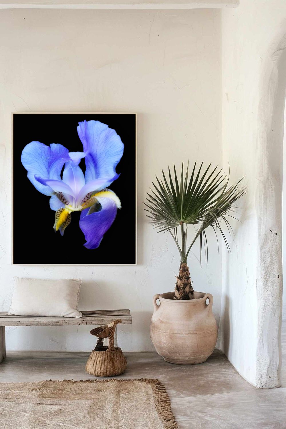 Photographie encadrée d'une fleur iris bleu 