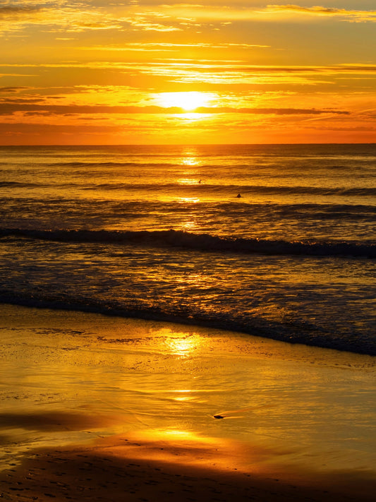 Golden Mirage - Bandanas SimpleMax