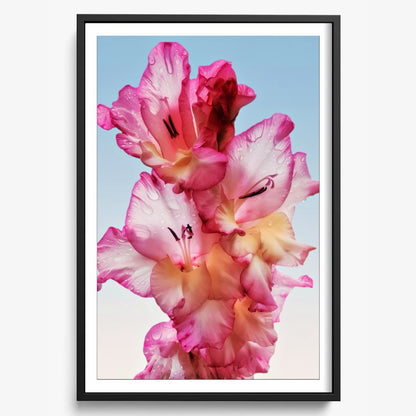 Floral Dew
