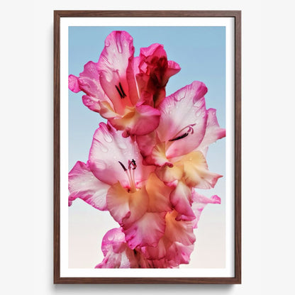 Floral Dew