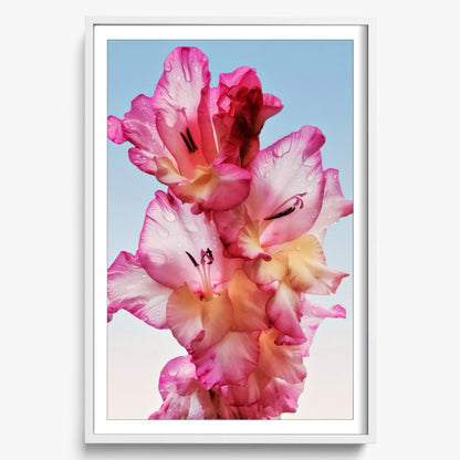Floral Dew
