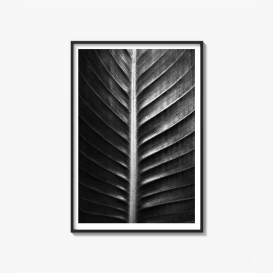 The Sacred Art of Nature