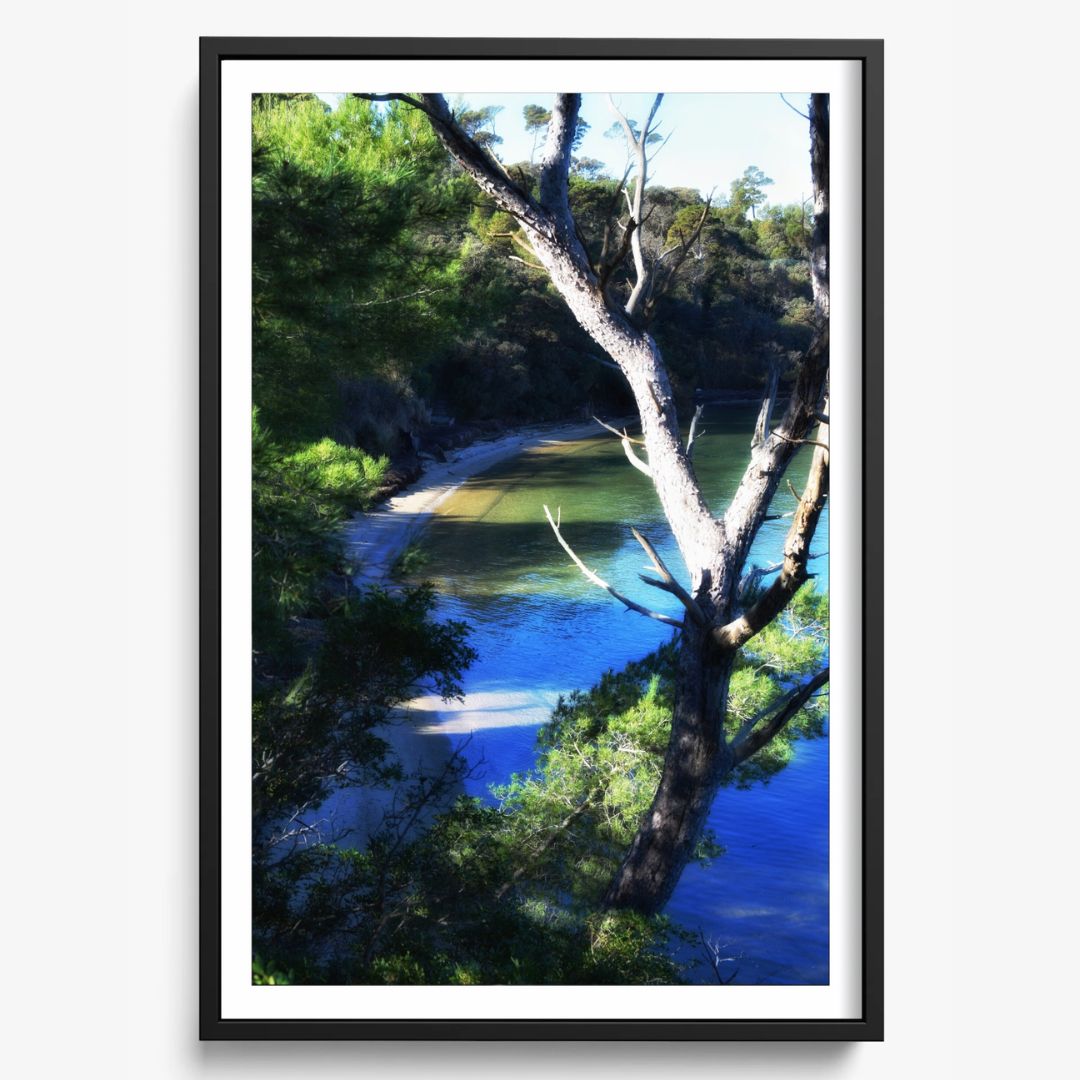 Coastal Refuge