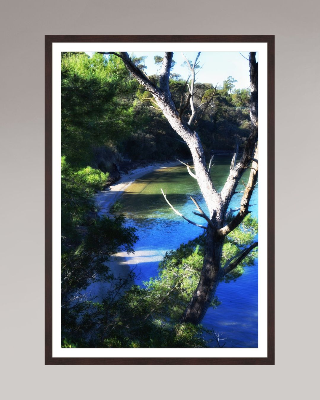 Photo d’art encadrée Coastal Refuge, format 60×90 cm, eau calme et arbres dans une scène naturelle apaisante.