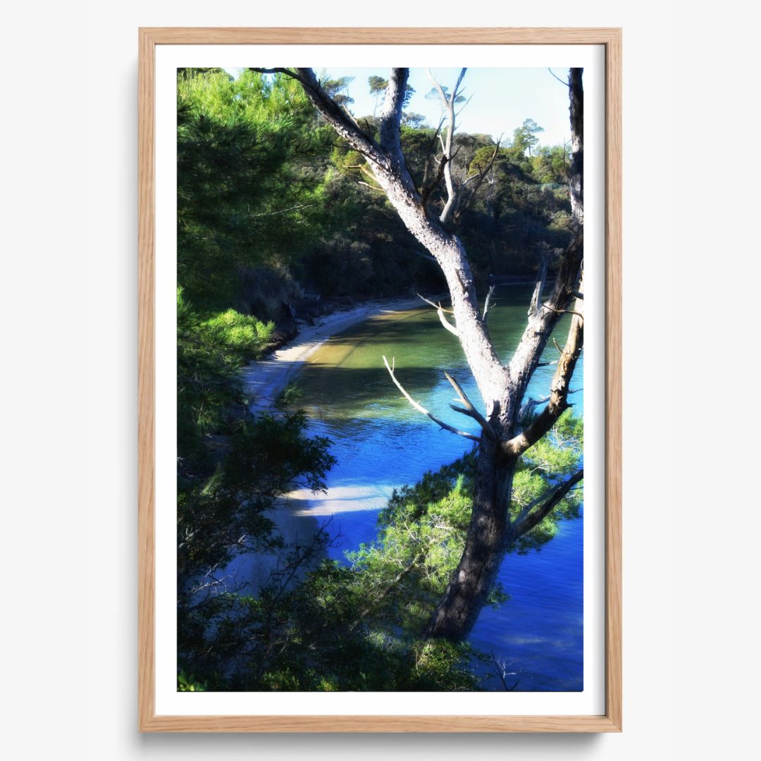 Coastal Refuge