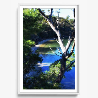 Coastal Refuge