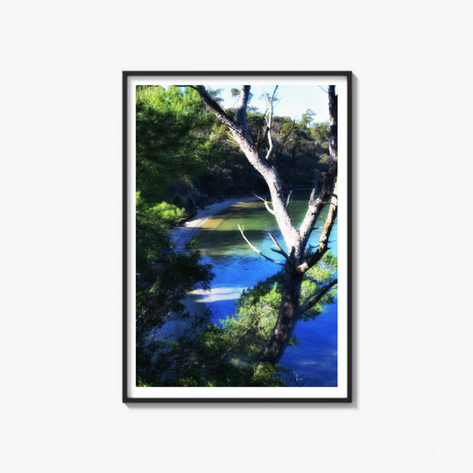 Coastal Refuge