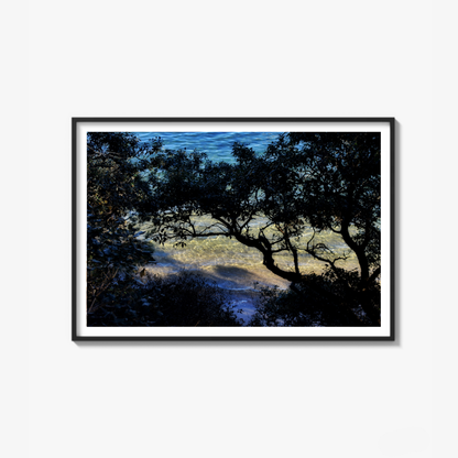 Shoreline Whispers