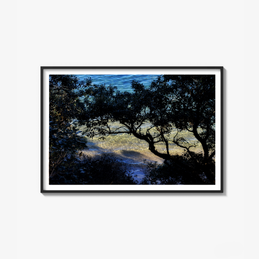 Shoreline Whispers