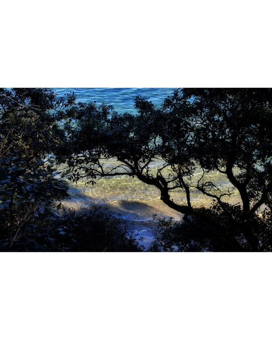 Shoreline Whispers