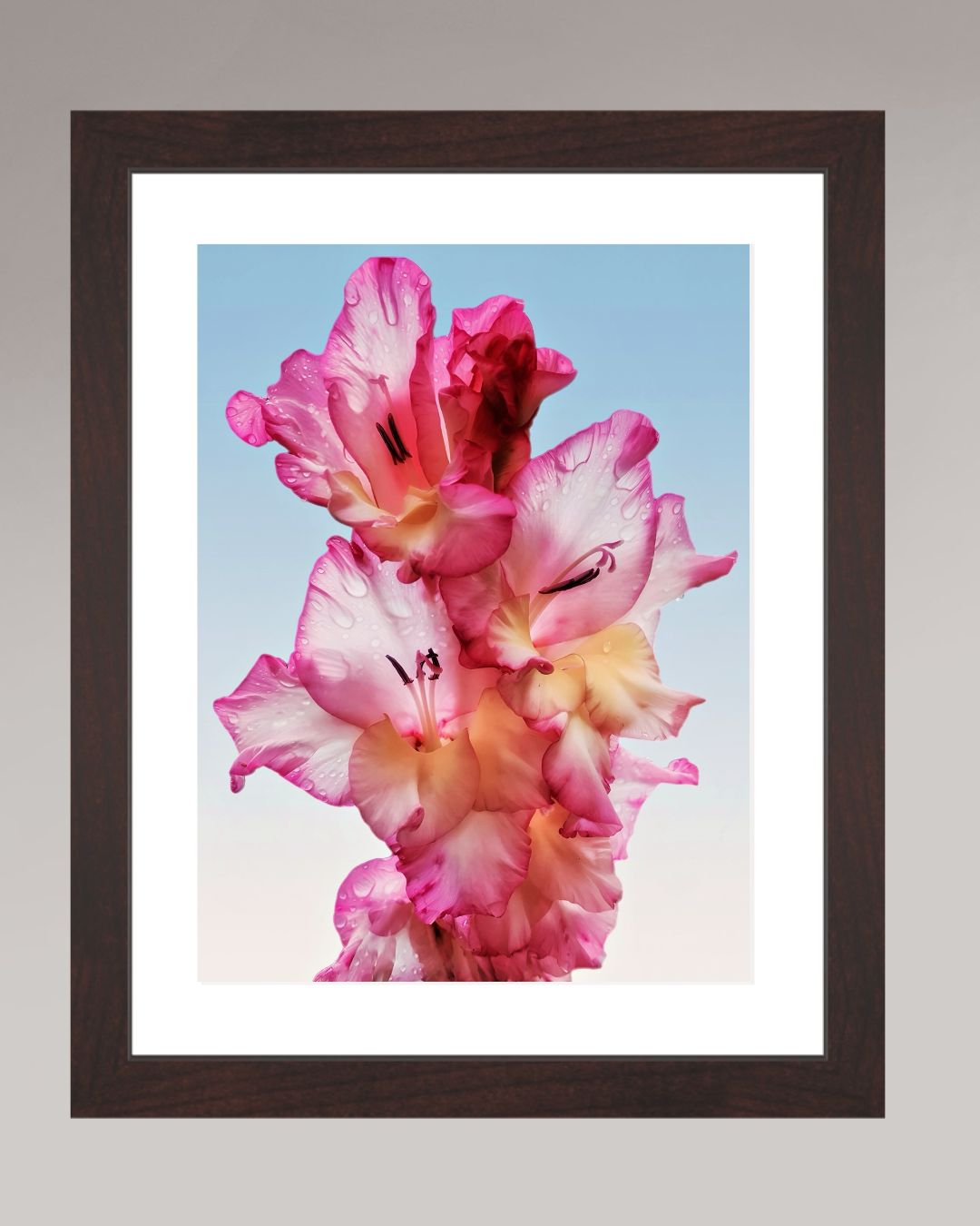 Photographie fine art encadrée Floral Dew, format 21×28 cm, fleur rose avec gouttes d’eau.