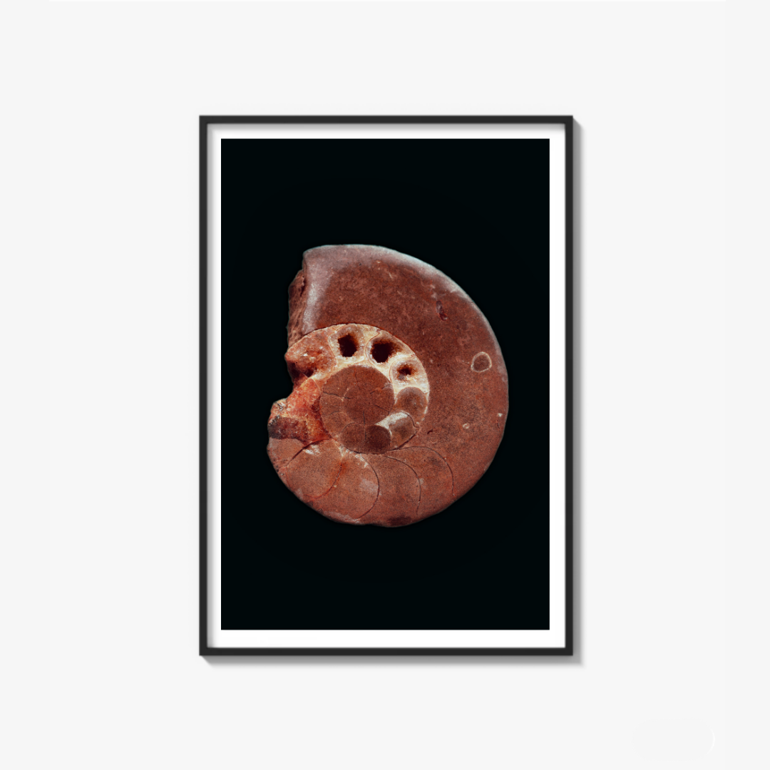 The Origin