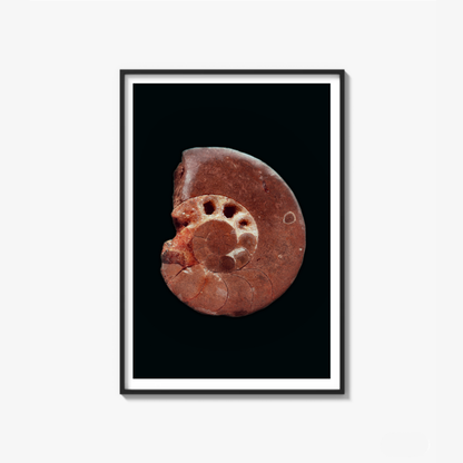The Origin