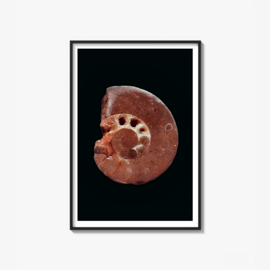 The Origin