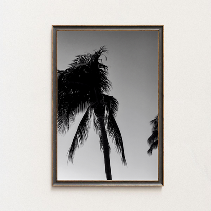 Tirage photo fine art noir et blanc de palmiers en silhouette sur ciel dégradé