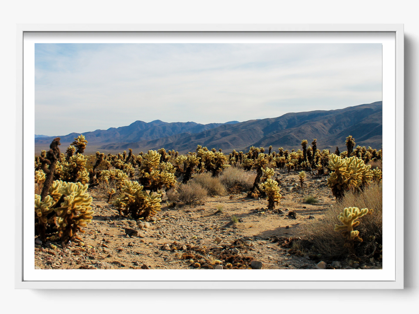 Photographie Fine Art de Joshua Tree encadrée dans un cadre blanc, offrant un rendu lumineux et moderne idéal pour une décoration murale contemporaine.