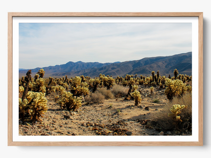 Photographie Fine Art de Joshua Tree encadrée dans un cadre en chêne, apportant une touche chaleureuse et naturelle parfaite pour un intérieur moderne et authentique.