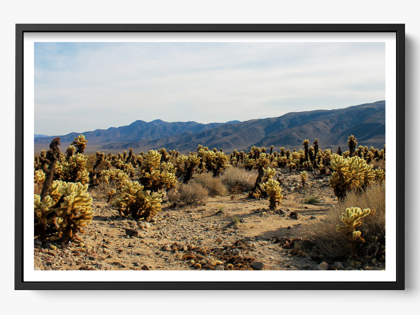 Photographie Fine Art de Joshua Tree encadrée dans un cadre noir, mettant en valeur le contraste du paysage naturel pour une décoration murale élégante et design.