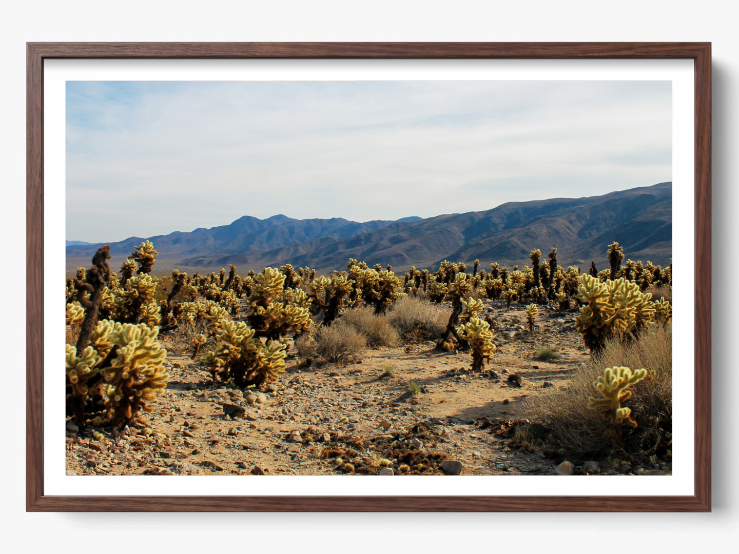 Photographie Fine Art de Joshua Tree encadrée dans un cadre en noyer, représentant un paysage naturel lumineux et moderne, idéale pour la décoration murale d’un intérieur contemporain.