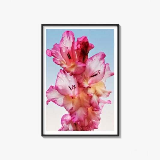 Floral Dew