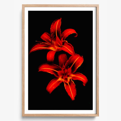 Red Lilies