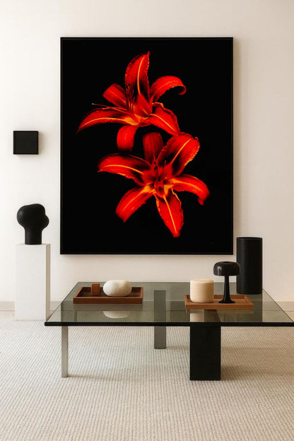 Tirage photo fine art de deux lys rouges sur fond noir, contraste floral intense 