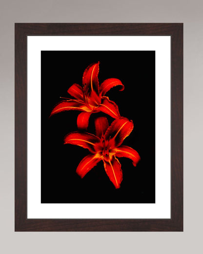 Red Lilies