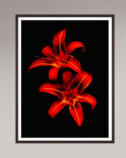 Red Lilies