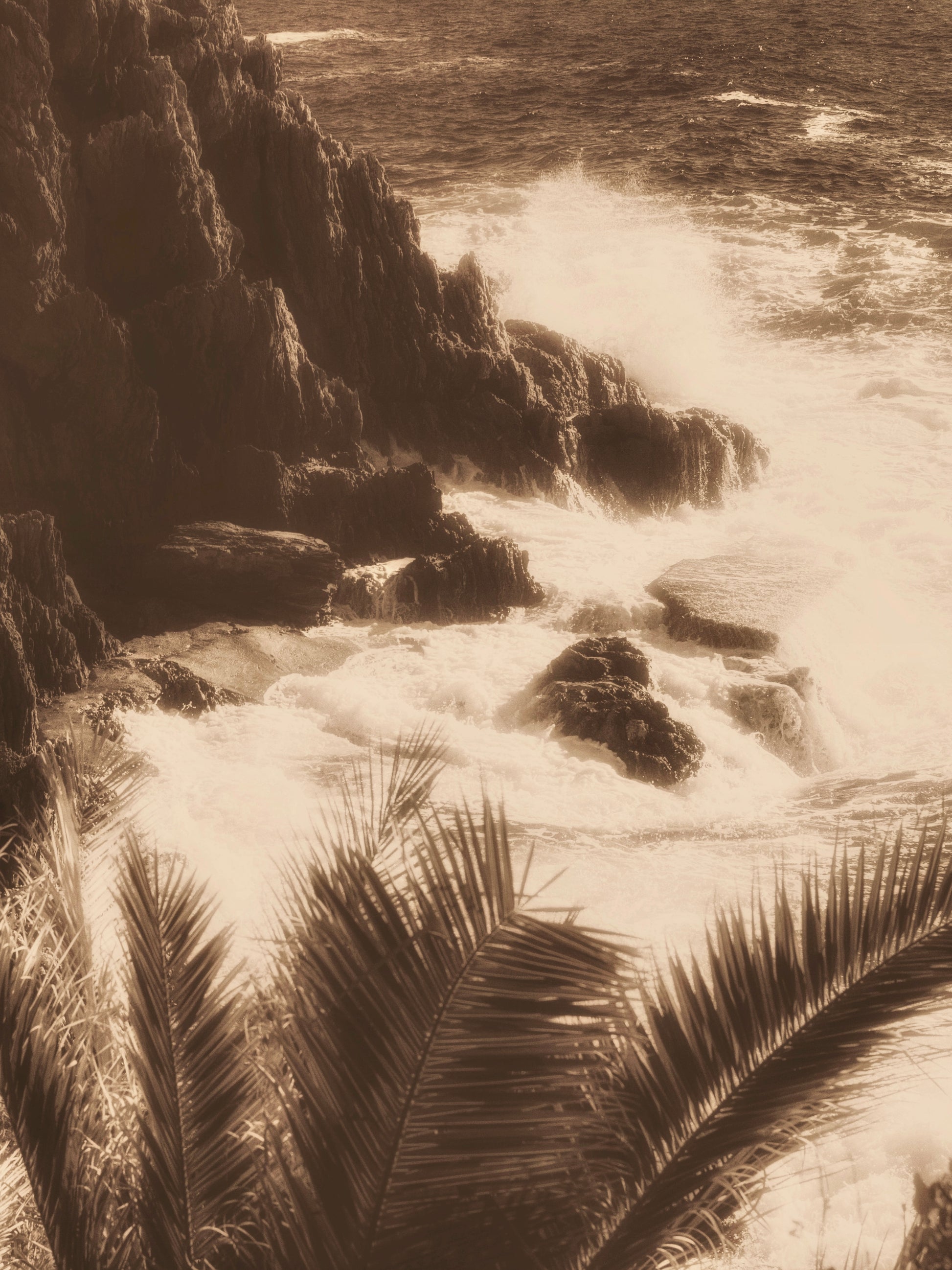 Savage Riviera, photographie fine art en tons sépia montrant des vagues frappant les rochers avec des palmes au premier plan.
