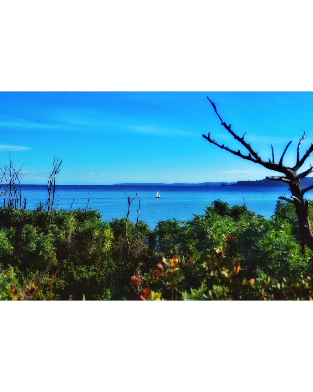 Solitary Voyage