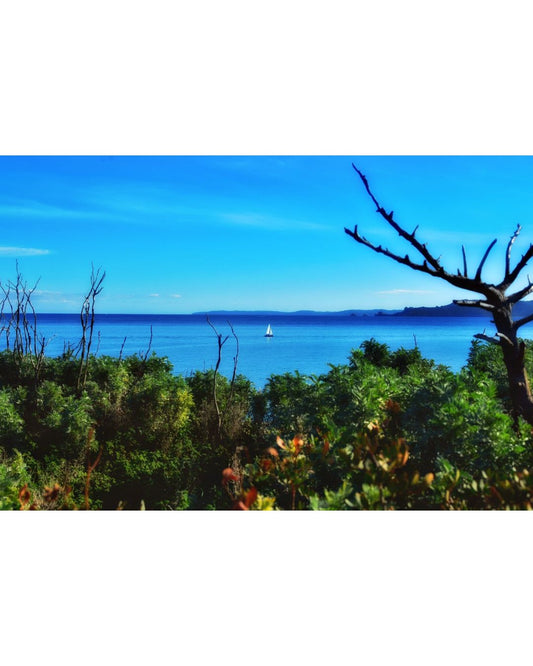 Solitary Voyage