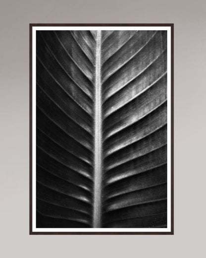 Photographie fine art encadrée The Sacred Art of Nature, format 100×150 cm, tirage d’art en noir et blanc