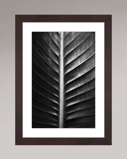 Photographie fine art encadrée The Sacred Art of Nature, format 20×30 cm, tirage d’art en noir et blanc