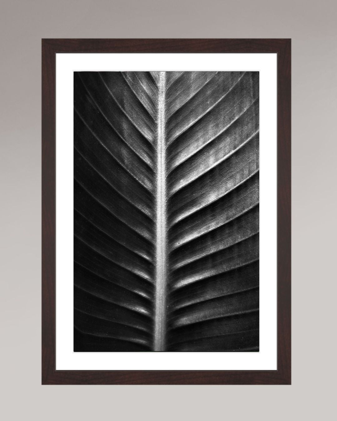 Photographie fine art encadrée The Sacred Art of Nature, format 30x45cm, tirage d’art en noir et blanc