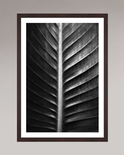 Photographie fine art encadrée The Sacred Art of Nature, format 40×60 cm, tirage d’art en noir et blanc