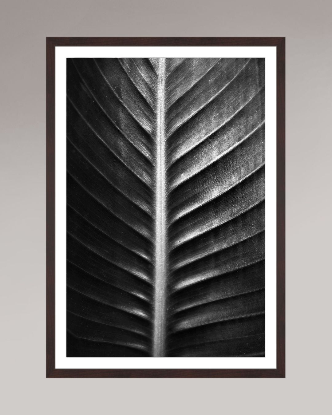 Photographie fine art encadrée The Sacred Art of Nature, format 50×75 cm, tirage d’art en noir et blanc