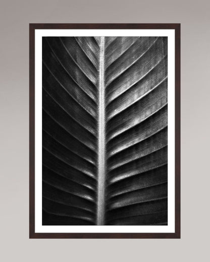 Photographie fine art encadrée The Sacred Art of Nature, format 50×75 cm, tirage d’art en noir et blanc
